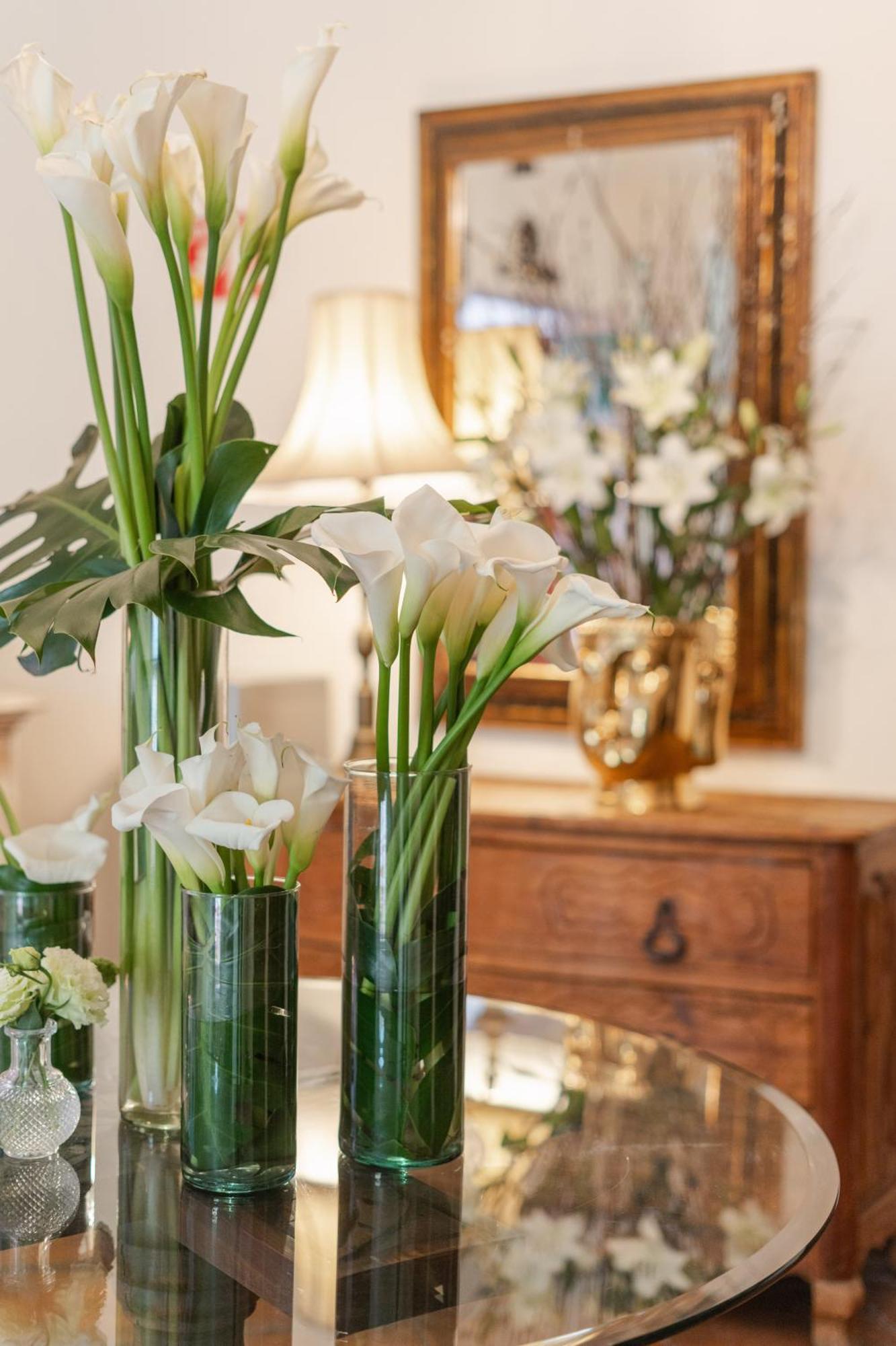 Villa Ganz Boutique Hotel Guadalajara Ngoại thất bức ảnh